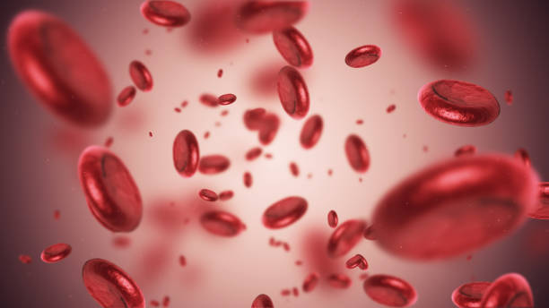 Anemia in the elderly